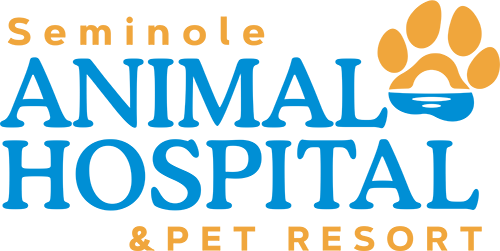 LiFT FL Seminole-Animal-Hospital